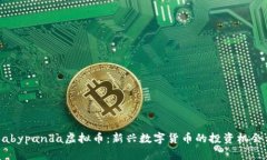了解Babypanda虚拟币：新兴数字货币的投资机会与