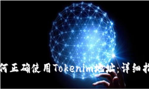 如何正确使用Tokenim地址：详细指南