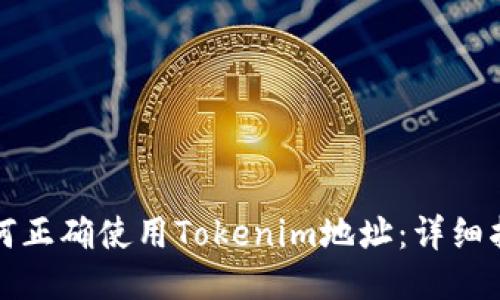 如何正确使用Tokenim地址：详细指南