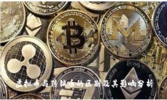 虚拟币与传销币的区别及其影响分析