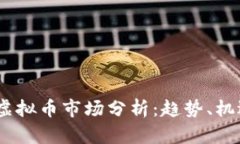 2021年虚拟币市场分析：趋势、机遇与风险