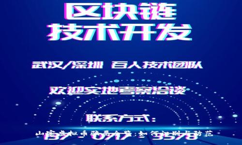 山寨虚拟币骗局全览:如何识别与防范