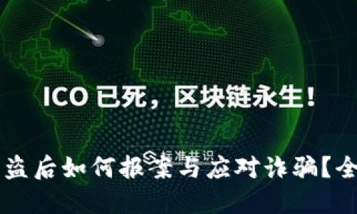 虚拟币被盗后如何报案与应对诈骗?全方位指南