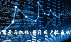 虚拟币的前景与挑战：普通用户视角的全面分析