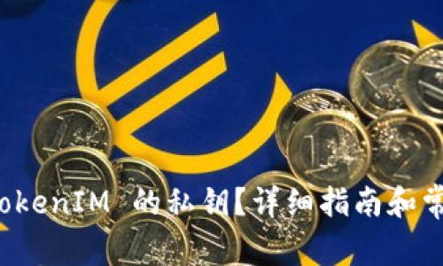 如何找到 TokenIM 的私钥？详细指南和常见问题解答