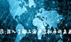 投资路径：深入了解上海币虚拟币的未来与潜力