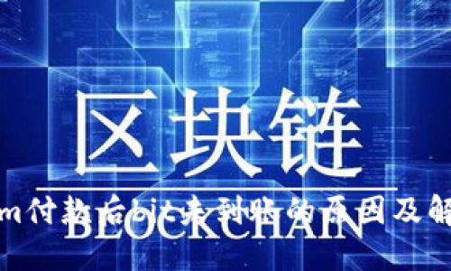 Tokenim付款后bit未到账的原因及解决方案