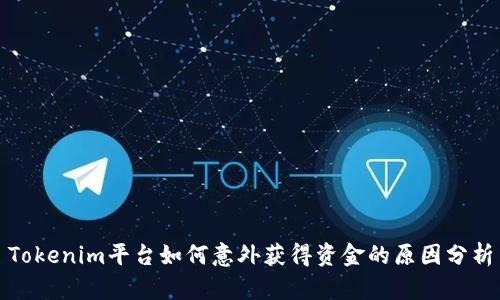 Tokenim平台如何意外获得资金的原因分析