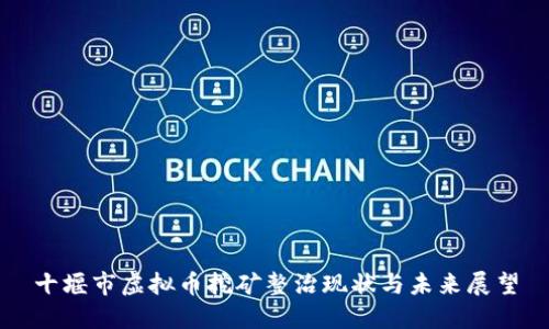 十堰市虚拟币挖矿整治现状与未来展望