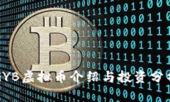 GYB虚拟币介绍与投资分析