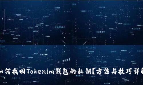 如何找回Tokenim钱包的私钥?方法与技巧详解
