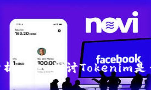 Tokenim的优劣势分析:深入探讨Tokenim是否适合普通用户投资