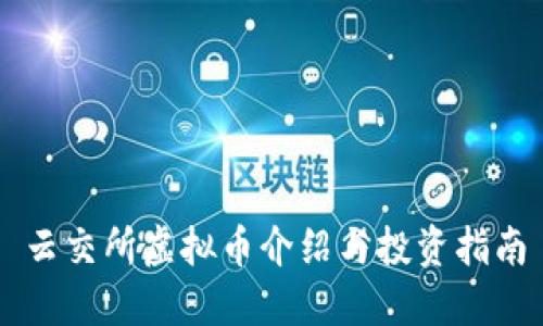 云交所虚拟币介绍与投资指南