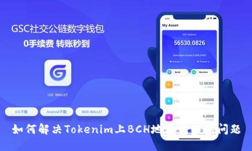 如何解决Tokenim上BCH地址错误的问题