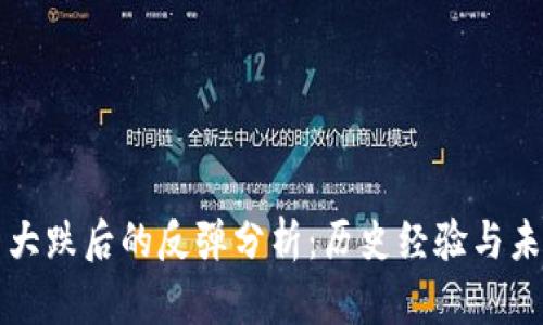 虚拟币大跌后的反弹分析:历史经验与未来趋势