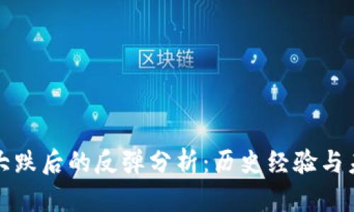 虚拟币大跌后的反弹分析:历史经验与未来趋势