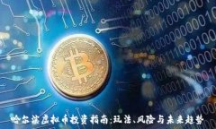   哈尔滨虚拟币投资指南：玩法、风险与未来趋势