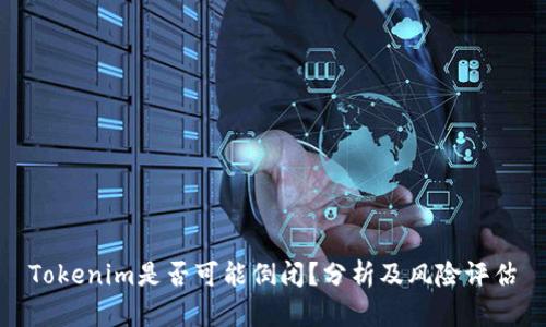 Tokenim是否可能倒闭?分析及风险评估