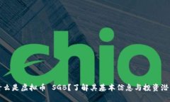 什么是虚拟币 SGB？了解其基本信息与投资潜力