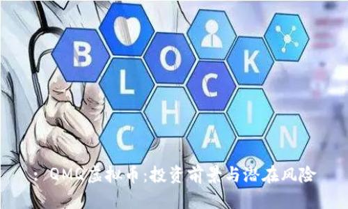 : QMQ虚拟币:投资前景与潜在风险