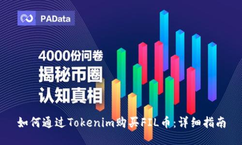 如何通过Tokenim购买FIL币:详细指南