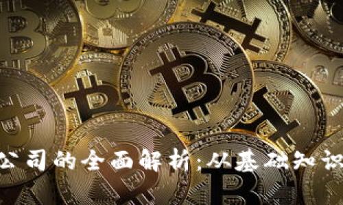 虚拟币POC公司的全面解析:从基础知识到最新动态