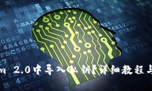 如何在Tokenim 2.0中导入私钥？详细教程与常见问题解答