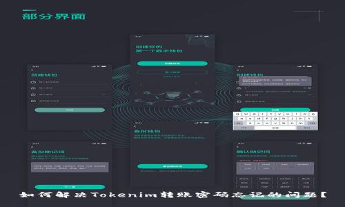 如何解决Tokenim转账密码忘记的问题？