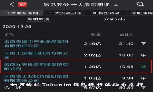 如何通过Tokenim钱包进行波场币质押