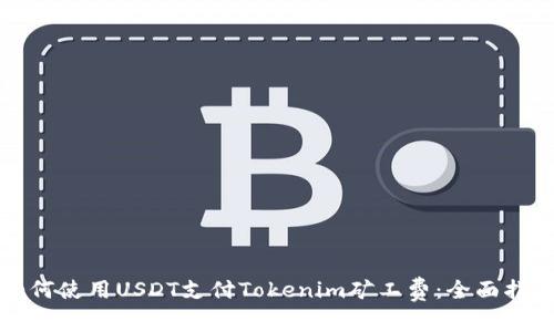 如何使用USDT支付Tokenim矿工费：全面指南