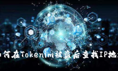 如何在Tokenim被盗后查找IP地址