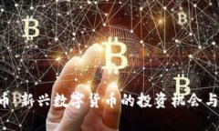 FCP虚拟币：新兴数字货币的投资机会与风险分析