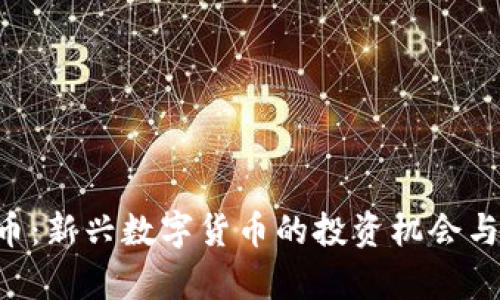 FCP虚拟币:新兴数字货币的投资机会与风险分析