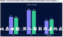 tokenim比原映射：深入解析两者的区别与联系
