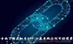 全面了解虚拟币BTG：从基本概念到市场前景