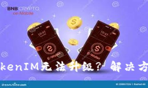 为什么TokenIM无法升级? 解决方案与建议