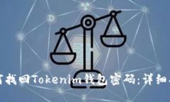如何找回Tokenim钱包密码：详细指南