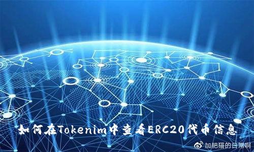 如何在Tokenim中查看ERC20代币信息