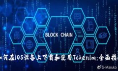如何在iOS设备上下载和使用Tokenim：全面指南