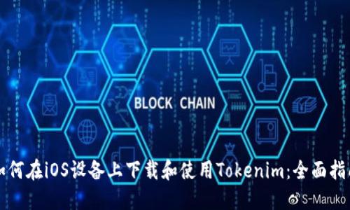 如何在iOS设备上下载和使用Tokenim：全面指南