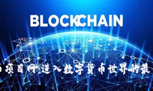 虚拟币项目网:进入数字货币世界的最佳选择
