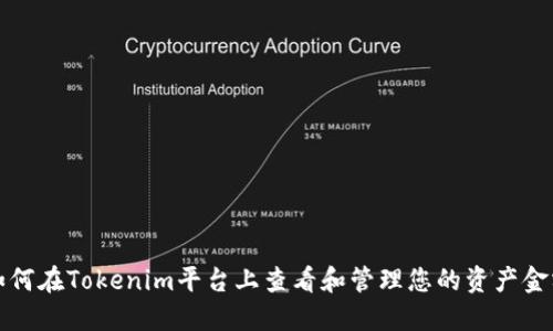 如何在Tokenim平台上查看和管理您的资产金额