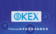Tokenim的开发历程与现状分析