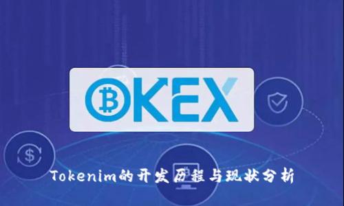 Tokenim的开发历程与现状分析