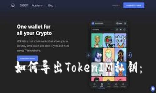 如何导出TokenIM私钥：