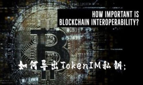 如何导出TokenIM私钥：