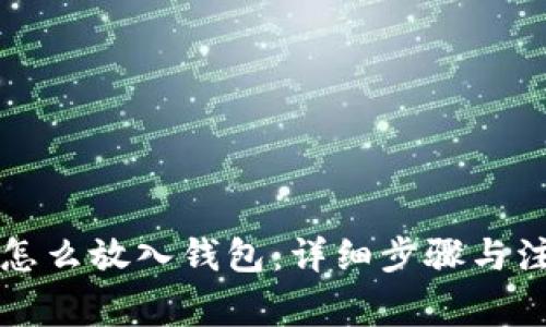 虚拟币怎么放入钱包:详细步骤与注意事项