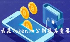 什么是Tokenim公钥及其重要性