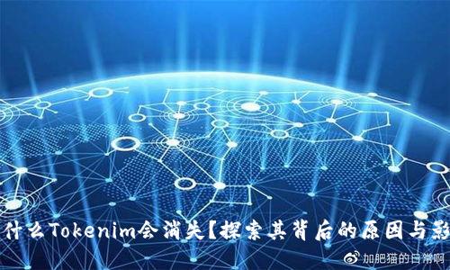 为什么Tokenim会消失?探索其背后的原因与影响