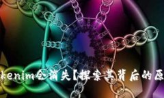 为什么Tokenim会消失？探索其背后的原因与影响